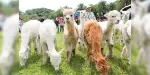 Green World Ecological Farm Tickets