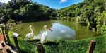 Green World Ecological Farm Tickets