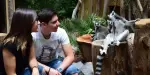 Jungle Park Tickets