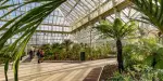 Kew Gardens Tickets