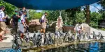 Khao Kheow Open Zoo Tickets