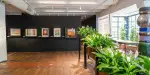 Kunst Haus Wien Museum Hundertwasser Tickets