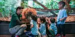 Mandai Wildlife Reserve Tickets