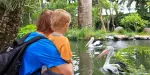 Bali Zoo Tickets