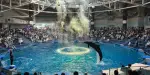 Maxell Aqua Park Shinagawa Tickets