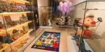 Mint Museum of Toys Tickets
