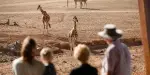 Monarto Safari Park Tickets