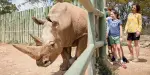 Monarto Safari Park Tickets