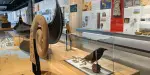 National Nordic Museum Tickets