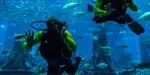 Nemo Diving Center Tickets