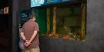 New England Aquarium Tickets