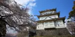 Odawara Castle Tickets