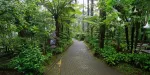 Orchid Forest Cikole Tickets
