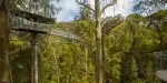 Otway Fly Treetop Adventures Tickets