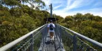 Otway Fly Treetop Adventures Tickets