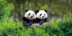 Zoo Aquarium de Madrid Tickets
