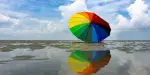 Sky Mirror Kuala Selangor Tours