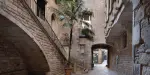 Picasso Museum Barcelona Tickets