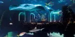 Poema del Mar Aquarium Tickets