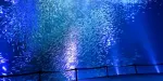 Port Of Nagoya Public Aquarium Tickets