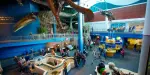 Ripley's Aquarium of the Smokies Tickets