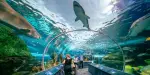 Ripley's Aquarium of Canada Tickets