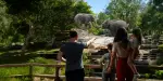 Rotterdam Zoo Tickets