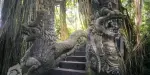 Sacred Monkey Forest Sanctuary Tickets