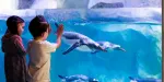 SEA LIFE London Aquarium Tickets