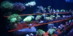 SEA LIFE Centre Porto Tickets