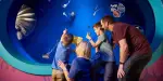 SEA LIFE Charlotte Concord Tickets