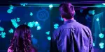 SEA LIFE Grapevine Aquarium Tickets