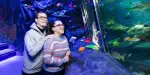 SEA LIFE Great Yarmouth Tickets
