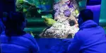 SEA LIFE Great Yarmouth Tickets