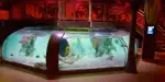 SEA LIFE Kansas City Aquarium Tickets