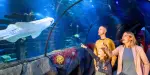 SEA LIFE Konstanz Tickets