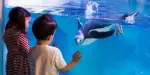 SEA LIFE Konstanz Tickets