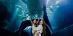 SEA LIFE Melbourne Aquarium Tickets
