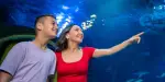 SEA LIFE San Antonio Tickets