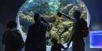Seattle Aquarium Tickets