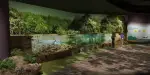 Singapore Oceanarium Tickets