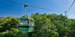 Skyrail Rainforest Cableway Tickets