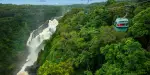 Skyrail Rainforest Cableway Tickets