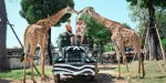 Sriayuthaya Lion Park Tickets