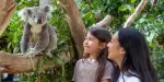 Sydney Zoo Tickets