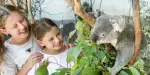 Sydney Zoo Tickets