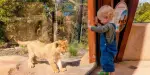 Taronga Zoo Sydney Tickets