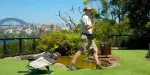 Taronga Zoo Sydney Tickets