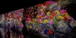 Teamlab Botanical Garden Osaka Tickets