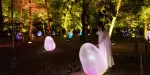 Teamlab Botanical Garden Osaka Tickets
